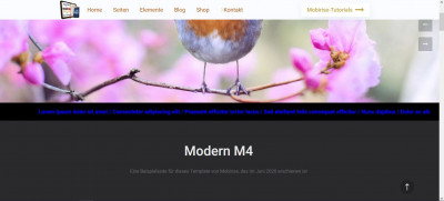 ModernM4 mit Laufschrift.JPG