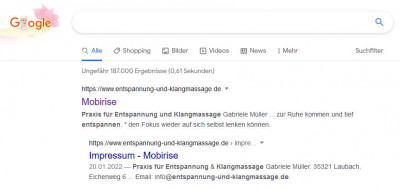 Google-Ergebnis.JPG