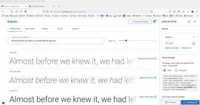 Google-Font Download.jpg