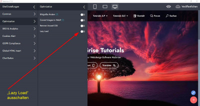 Lazy Load ausschalten.jpg