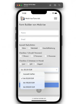 Auswahl-Feld Mobirise-Formular am iPhone 13.jpg