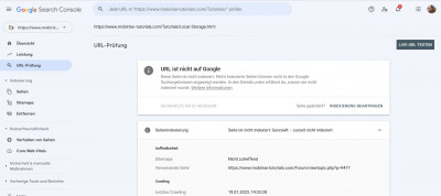 Prüfung Search Console.jpg