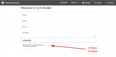 Formularfeld mit mindestens 10 und höchstens 10 Zahlen.jpg