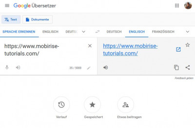 Google Übersetzer.JPG