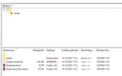 File Zilla nach Upload.PNG