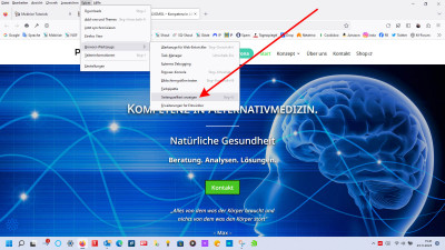 Browser Werkzeuge - hier im Firefox-Browser.jpg