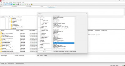 FileZilla Sprache wählen.jpg