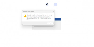 Warnung Javascript im PDF.jpg
