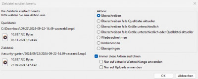 FileZilla Alles Überschreiben.jpg