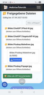 Download-Limited am Smartphone.jpg