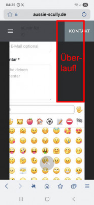 Ansicht alter Emoji-Picker am Handy.jpg