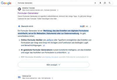 Formular-Generator bei Google.jpg