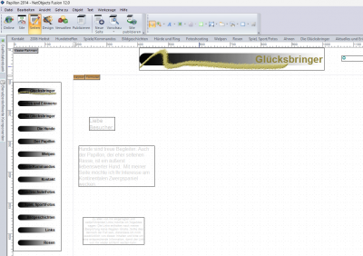 Screenshot Website unvollständige Anzeige.png