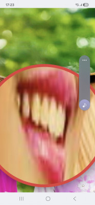 Screenshot_20260305_172300_Samsung Internet.jpg