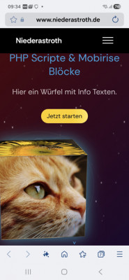 Position Cube im Samsung Internet Browser und anderen.jpg