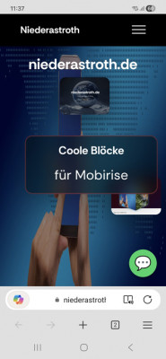 Edge--Browser verzerrtes Bild.jpg