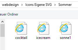 svg bider.PNG