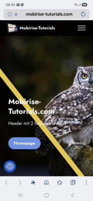 Overlay-Header von Volker am Handy.jpg