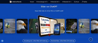 Slider hinter transparentem Bild.jpg