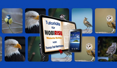 Slider Counter-Rotating.jpg