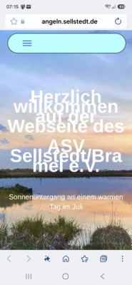 Sellstedt-Angler am Handy.jpg
