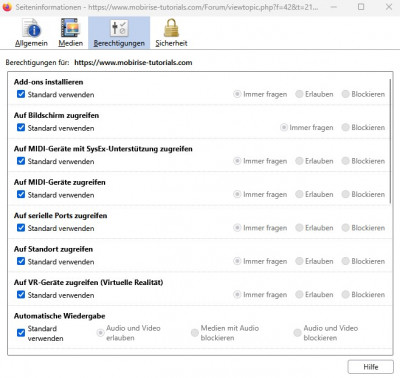 Audio und Video erlauben im Firefox.jpg