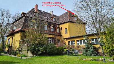 Haus-Waschbär Zugang in Dachgaube am First.jpg