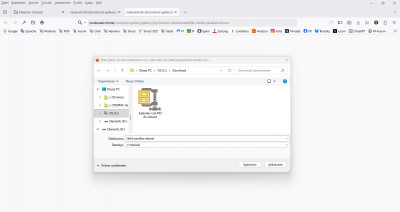 Browser öffnet beim Download.jpg