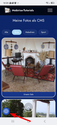 Foto-Galerie am Handy mit CookieFirst Button.jpg