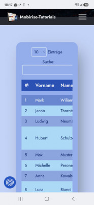 Breite am Handy hier nur 70 Prozent - muss auf 100%.jpg