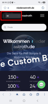 VN Translate Button zu groß und falsch platziert.jpg
