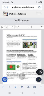 Handy-Ansicht mit dem PDF-Viewer.jpg