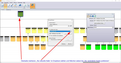 Nur aktuelle Seite publizieren.JPG