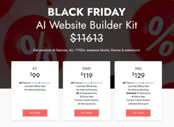 Black Friday Sale